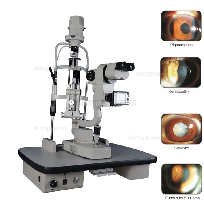 Veterinary Digital Slit Lamp Anterior Segment Analysis System